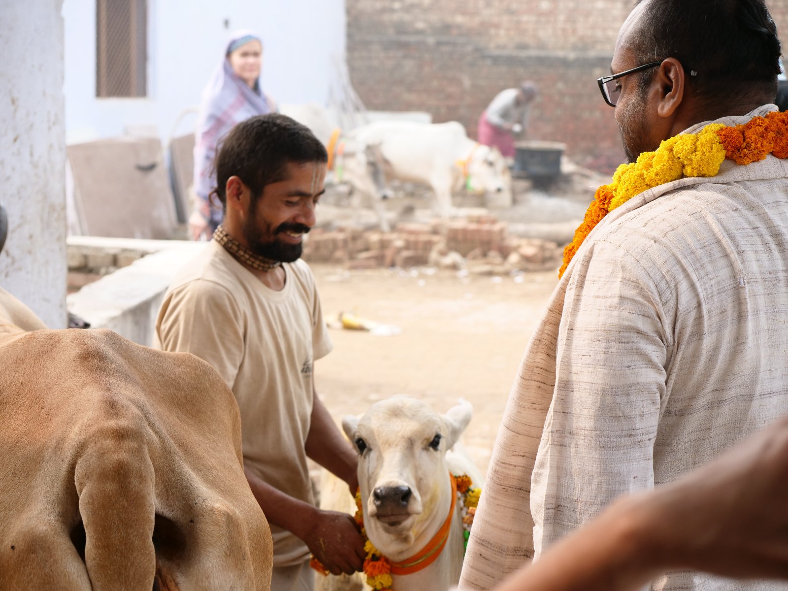  110 Gopashtami Radha kunda Govardhan 19.11.04